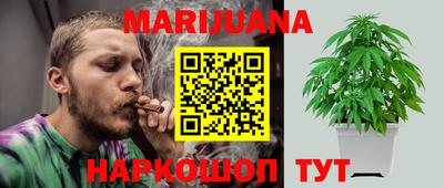сатива Кунгур