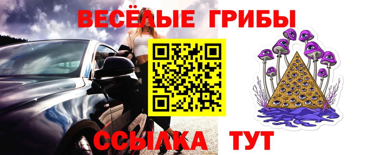 Псилоцибиновые грибы Cubensis  дарнет шоп  Вход с VPN  Королёв  Галлюциногенные грибы GOLDEN TEACHER 